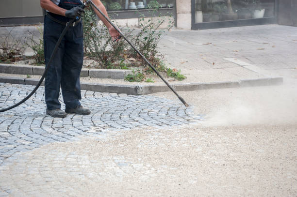 Best Fence Cleaning  in Haiku Pauwela, HI